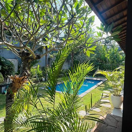 Wiryaroja Guest House تْشانغو المظهر الخارجي الصورة