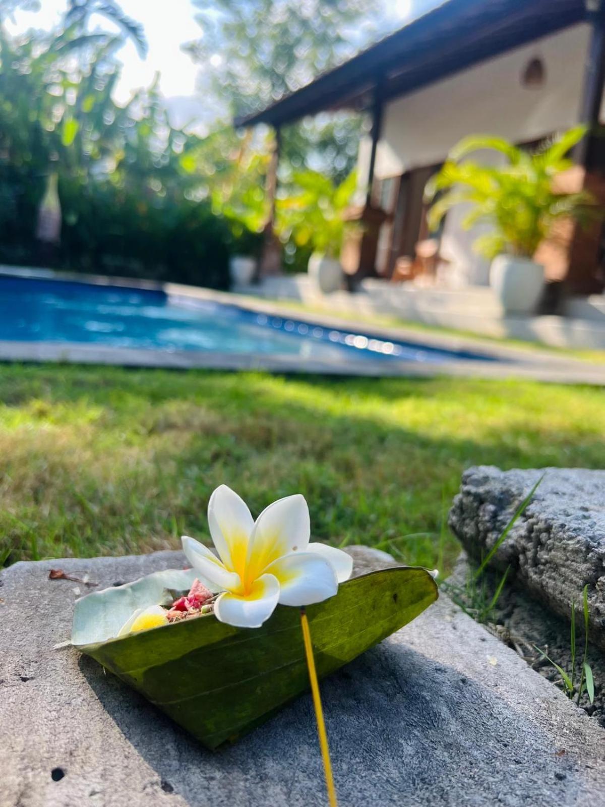Wiryaroja Guest House تْشانغو المظهر الخارجي الصورة